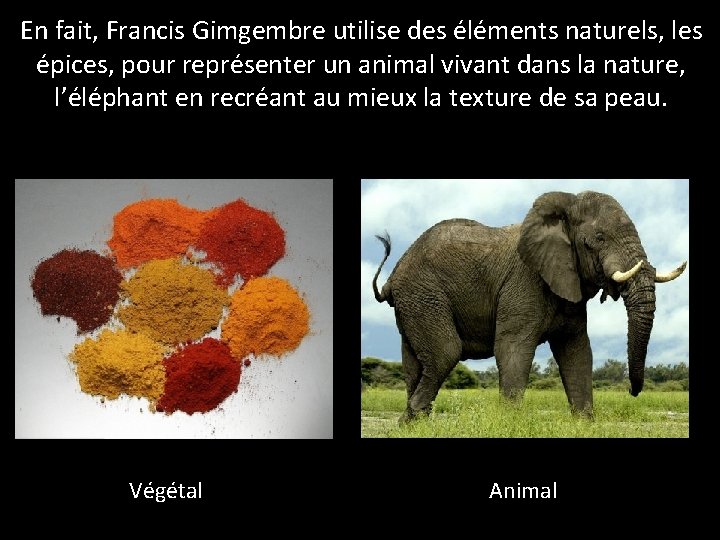 En fait, Francis Gimgembre utilise des éléments naturels, les épices, pour représenter un animal