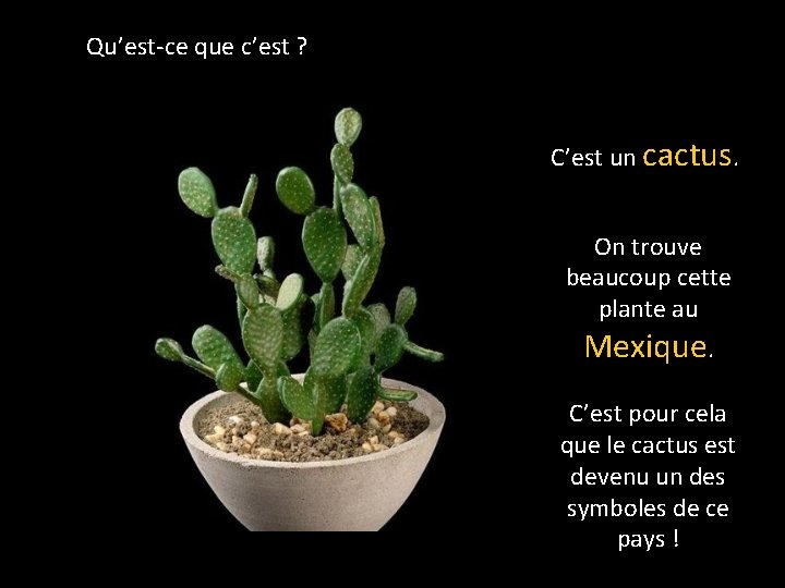 Qu’est-ce que c’est ? C’est un cactus. On trouve beaucoup cette plante au Mexique.