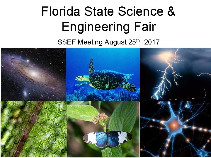 Florida State Science & Engineering Fair SSEF Meeting August 25 th, 2017 