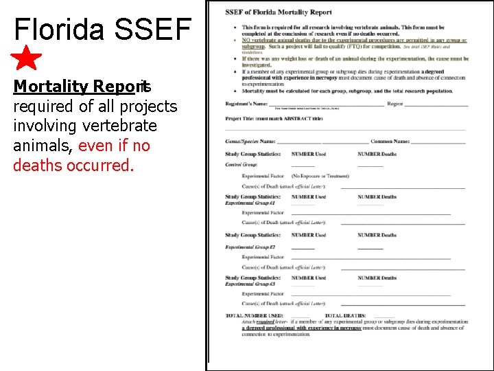 Florida SSEF Mortality Report is required of all projects involving vertebrate animals, even if