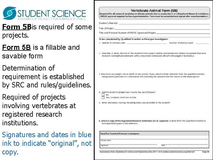 Form 5 Bis required of some projects. Form 5 B is a fillable and