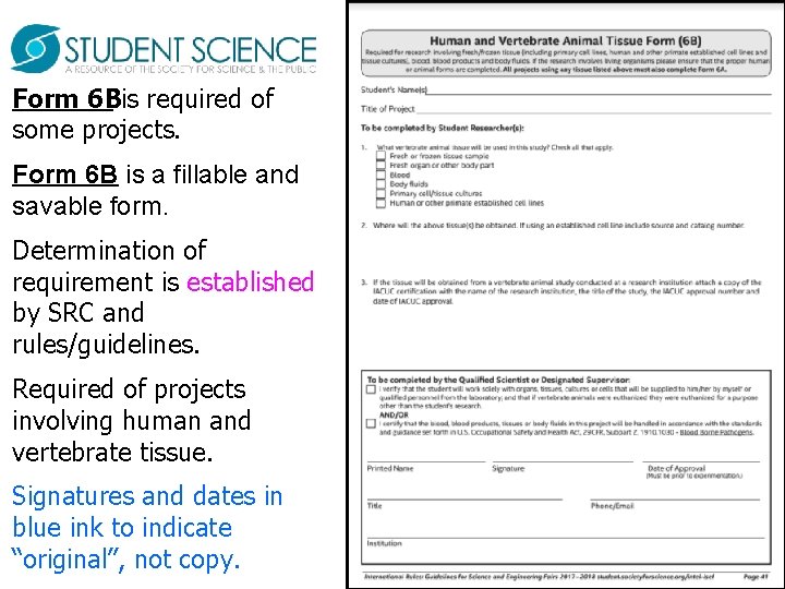 Form 6 Bis required of some projects. Form 6 B is a fillable and