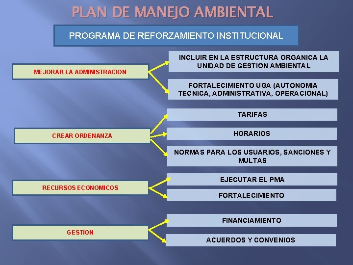 PLAN DE MANEJO AMBIENTAL PROGRAMA DE REFORZAMIENTO INSTITUCIONAL MEJORAR LA ADMINISTRACION INCLUIR EN LA