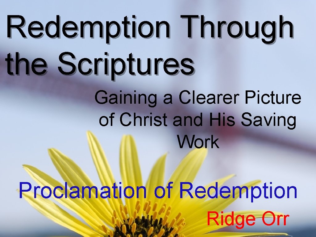 Redemption Through the Scriptures Gaining a Clearer Picture of Christ and His Saving Work