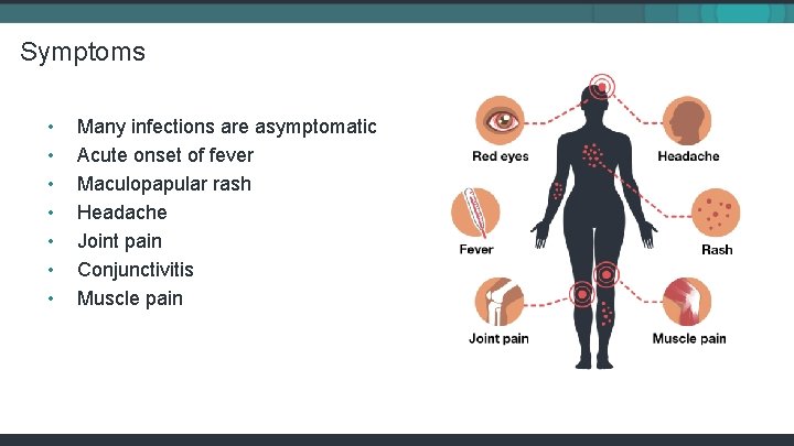 Symptoms • • Many infections are asymptomatic Acute onset of fever Maculopapular rash Headache