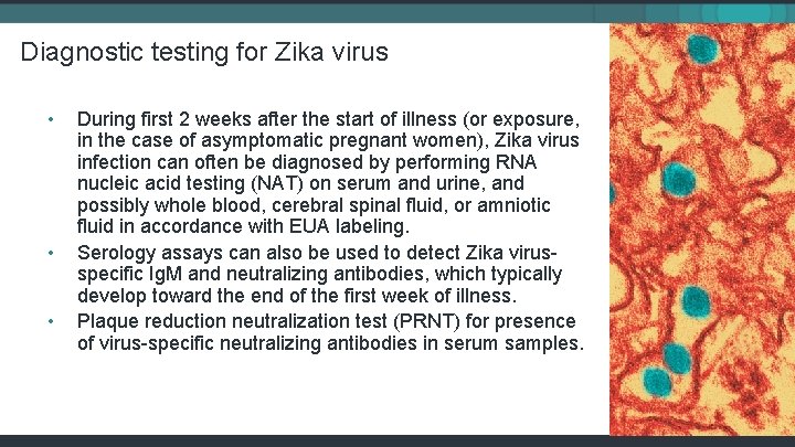 Diagnostic testing for Zika virus • • • During first 2 weeks after the