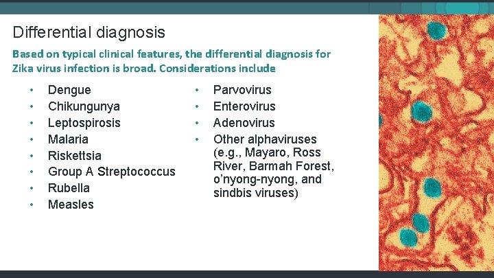 Differential diagnosis Based on typical clinical features, the differential diagnosis for Zika virus infection