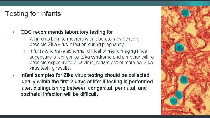 Testing for infants • CDC recommends laboratory testing for » All infants born to