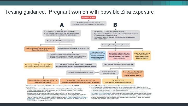 Testing guidance: Pregnant women with possible Zika exposure 