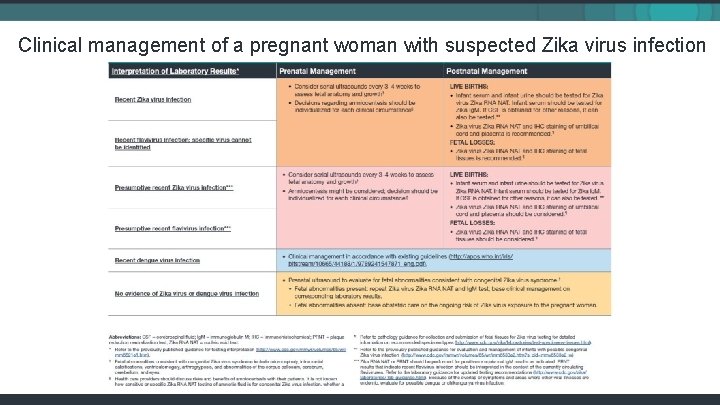 Clinical management of a pregnant woman with suspected Zika virus infection 