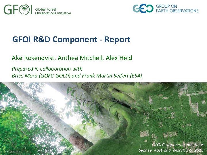 GFOI R&D Component - Report Ake Rosenqvist, Anthea Mitchell, Alex Held Prepared in collaboration