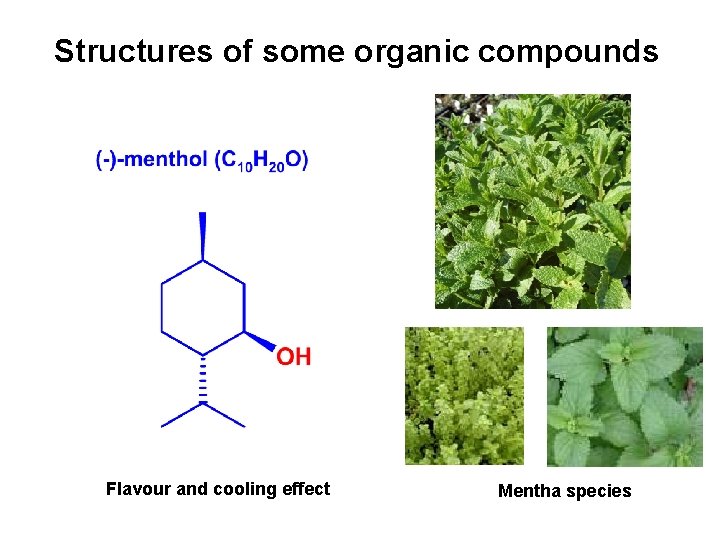 Structures of some organic compounds Flavour and cooling effect Mentha species 