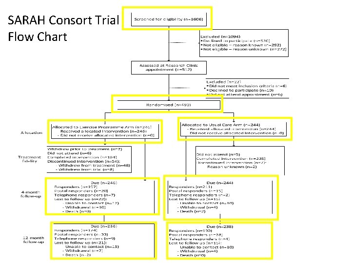 SARAH Consort Trial Flow Chart Results 