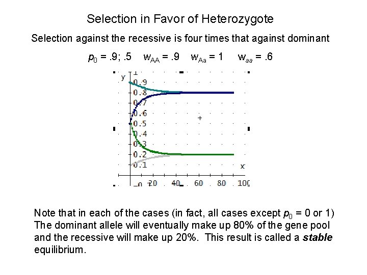 Selection in Favor of Heterozygote Selection against the recessive is four times that against