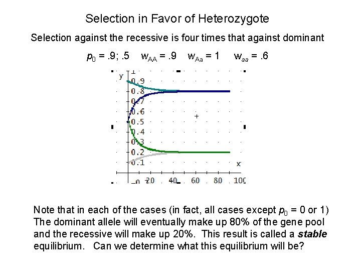 Selection in Favor of Heterozygote Selection against the recessive is four times that against