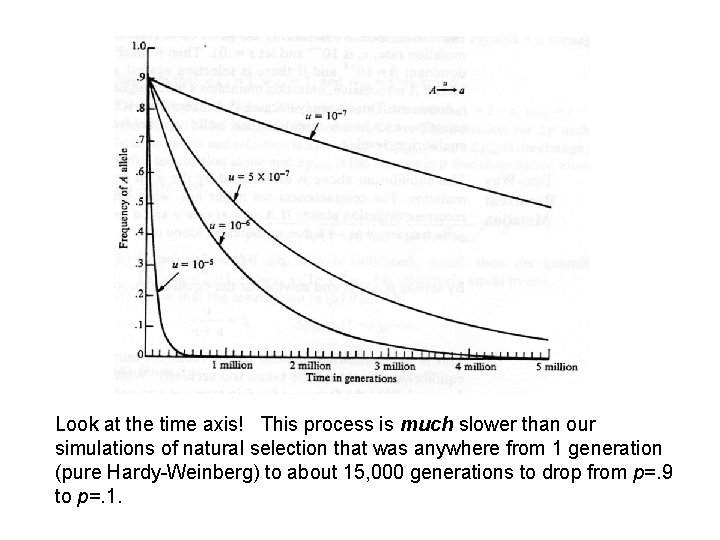 Look at the time axis! This process is much slower than our simulations of