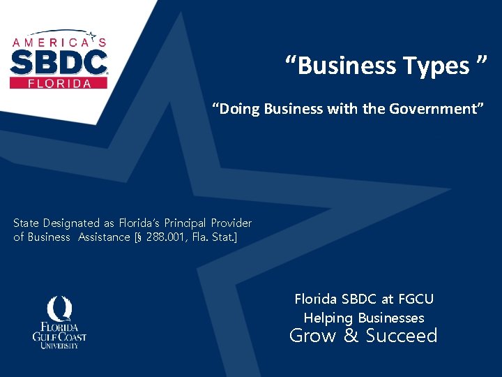 “Business Types ” “Doing Business with the Government” State Designated as Florida’s Principal Provider