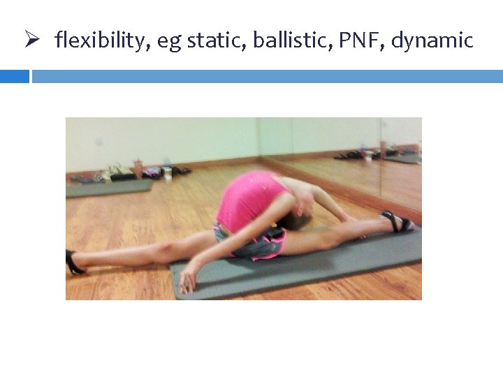 Ø flexibility, eg static, ballistic, PNF, dynamic Ø flexibility, eg static, ballistic, PNF, dynamic
