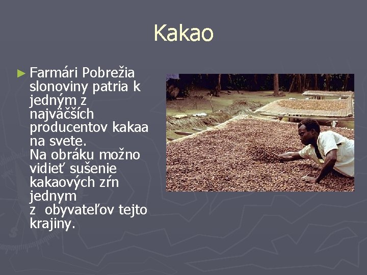 Kakao ► Farmári Pobrežia slonoviny patria k jedným z najväčších producentov kakaa na svete.