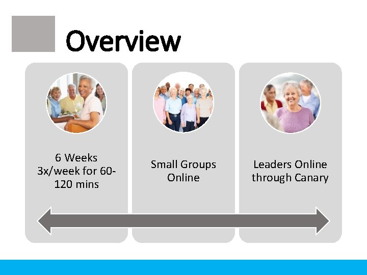 Overview 6 Weeks 3 x/week for 60120 mins Small Groups Online Leaders Online through Overview 6 Weeks 3 x/week for 60120 mins Small Groups Online Leaders Online through