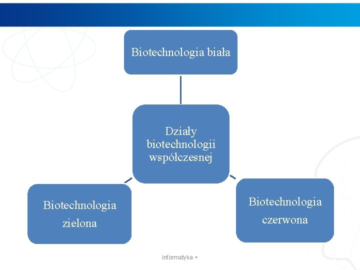 Biotechnologia biała Działy biotechnologii współczesnej Biotechnologia zielona czerwona informatyka + 7 