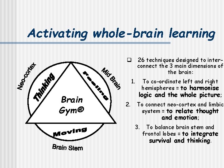 Activating whole-brain learning 26 techniques designed to interconnect the 3 main dimensions of the