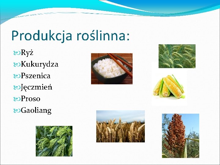 Produkcja roślinna: Ryż Kukurydza Pszenica Jęczmień Proso Gaoliang 