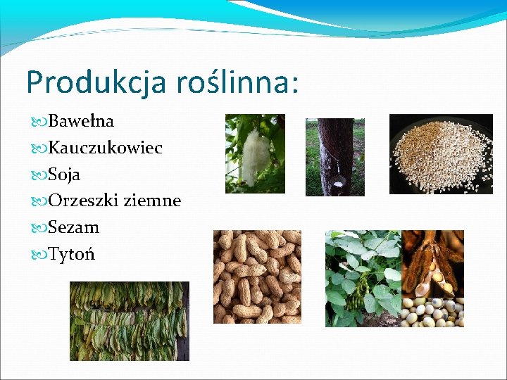 Produkcja roślinna: Bawełna Kauczukowiec Soja Orzeszki ziemne Sezam Tytoń 