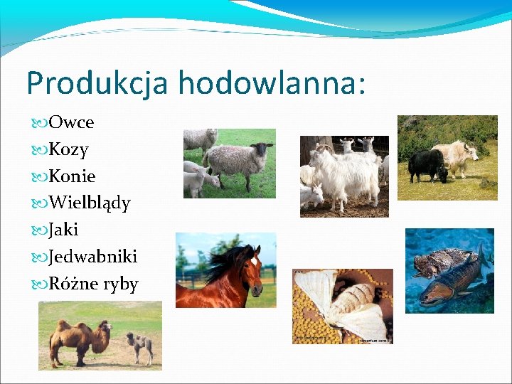 Produkcja hodowlanna: Owce Kozy Konie Wielblądy Jaki Jedwabniki Różne ryby 