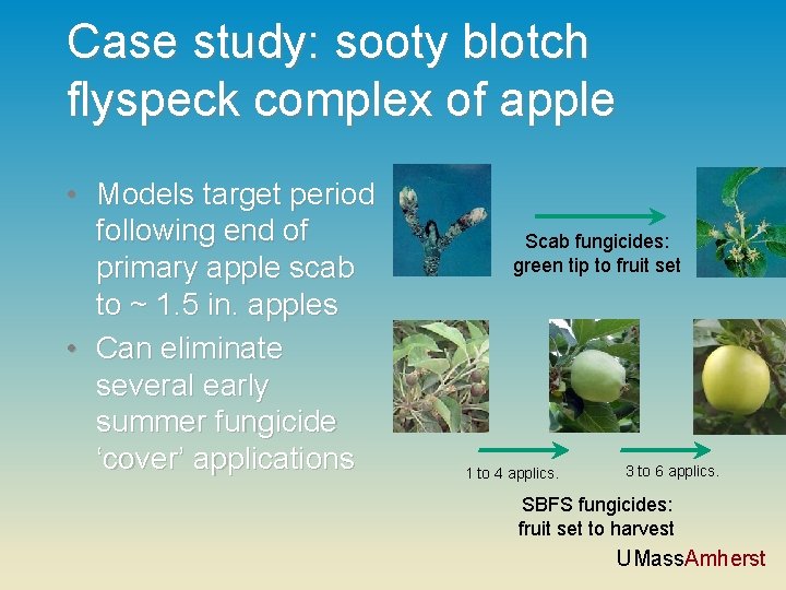 Case study: sooty blotch flyspeck complex of apple • Models target period following end