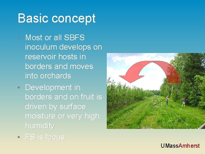 Basic concept • Most or all SBFS inoculum develops on reservoir hosts in borders