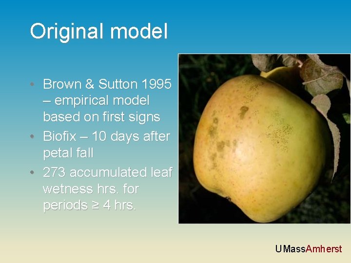 Original model • Brown & Sutton 1995 – empirical model based on first signs