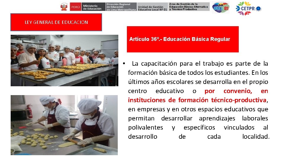 LEY GENERAL DE EDUCACION Artículo 36º. - Educación Básica Regular • La capacitación para