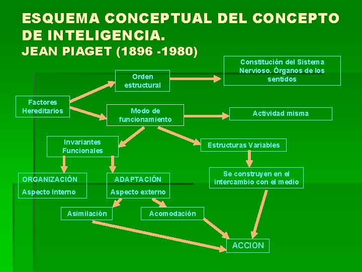 ESQUEMA CONCEPTUAL DEL CONCEPTO DE INTELIGENCIA. JEAN PIAGET (1896 -1980) Orden estructural Factores Hereditarios ESQUEMA CONCEPTUAL DEL CONCEPTO DE INTELIGENCIA. JEAN PIAGET (1896 -1980) Orden estructural Factores Hereditarios