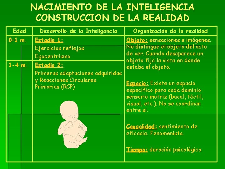 NACIMIENTO DE LA INTELIGENCIA CONSTRUCCION DE LA REALIDAD Edad Desarrollo de la Inteligencia Organización NACIMIENTO DE LA INTELIGENCIA CONSTRUCCION DE LA REALIDAD Edad Desarrollo de la Inteligencia Organización