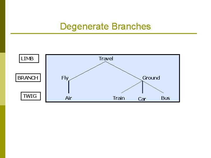 Degenerate Branches LIMB BRANCH TWIG Travel Fly Air Ground Train Car Bus 