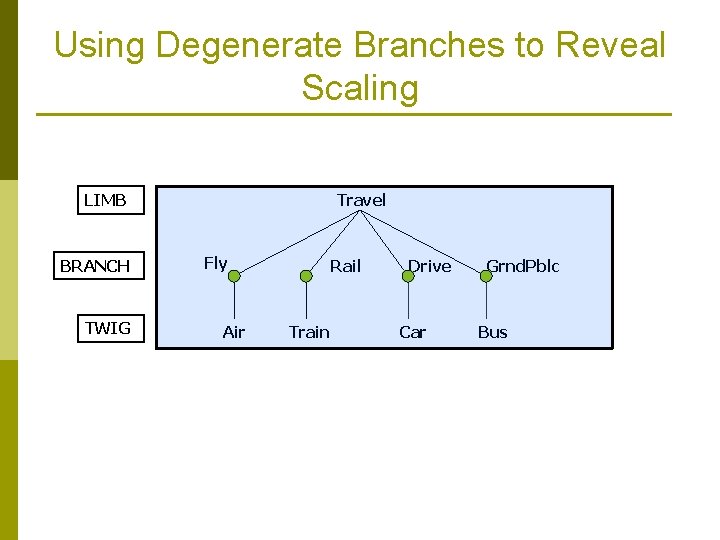 Using Degenerate Branches to Reveal Scaling LIMB BRANCH TWIG Travel Fly Air Rail Train