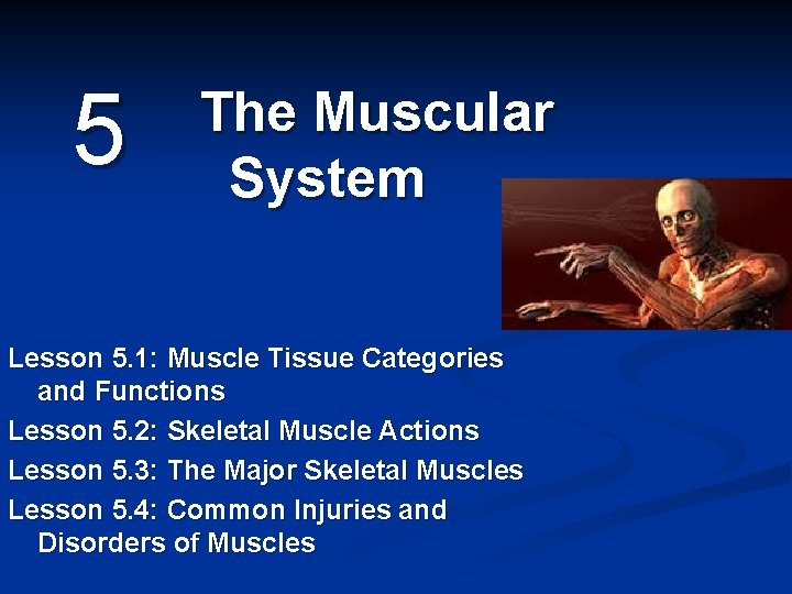 5 The Muscular System Lesson 5. 1: Muscle Tissue Categories and Functions Lesson 5.