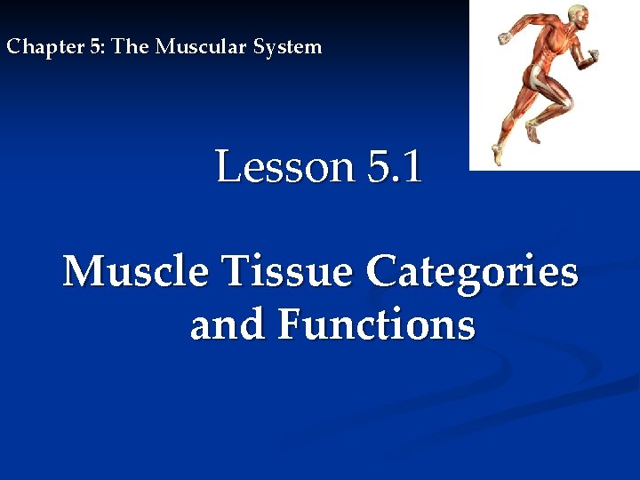 Chapter 5: The Muscular System Lesson 5. 1 Muscle Tissue Categories and Functions 