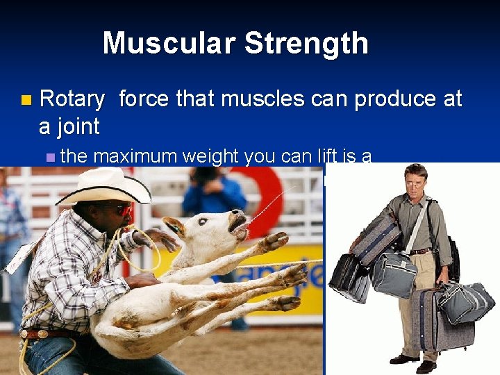 Muscular Strength n Rotary force that muscles can produce at a joint n the