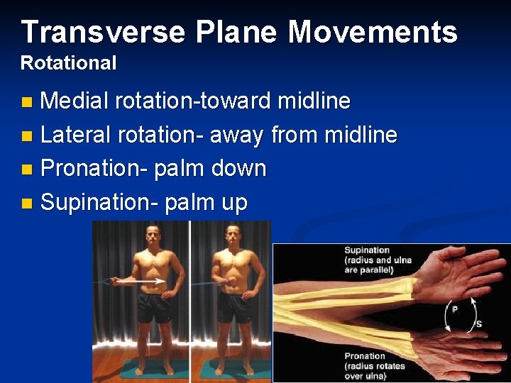 Transverse Plane Movements Rotational Medial rotation-toward midline n Lateral rotation- away from midline n Transverse Plane Movements Rotational Medial rotation-toward midline n Lateral rotation- away from midline n