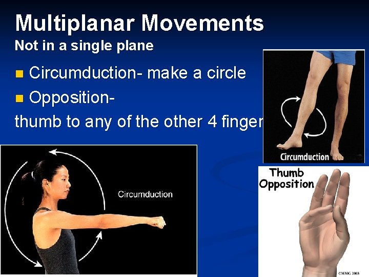 Multiplanar Movements Not in a single plane Circumduction- make a circle n Opposition- thumb