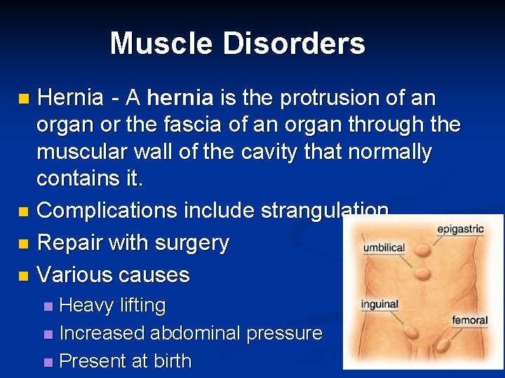 Muscle Disorders Hernia - A hernia is the protrusion of an organ or the