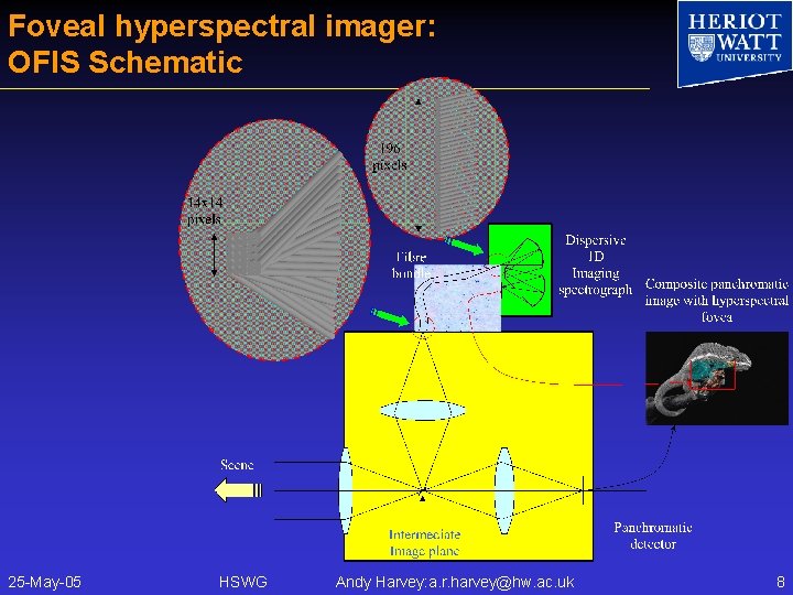 Foveal hyperspectral imager: OFIS Schematic 25 -May-05 HSWG Andy Harvey: a. r. harvey@hw. ac.