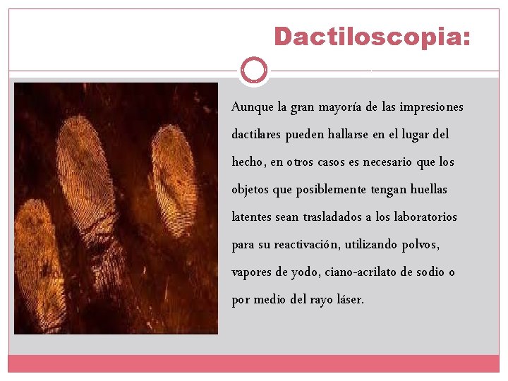 Dactiloscopia: Aunque la gran mayoría de las impresiones dactilares pueden hallarse en el lugar Dactiloscopia: Aunque la gran mayoría de las impresiones dactilares pueden hallarse en el lugar