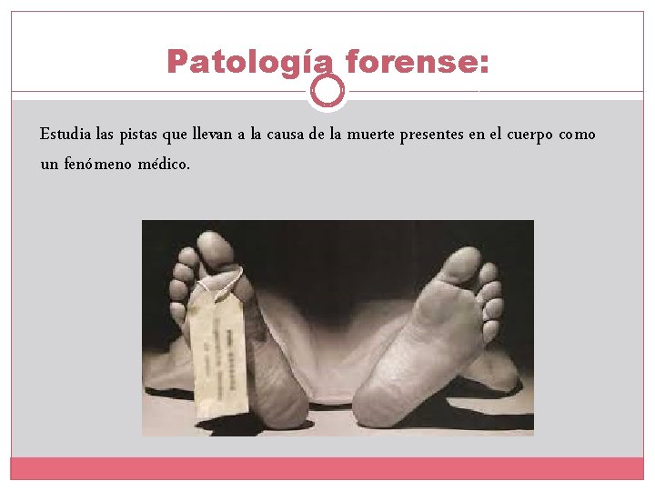 Patología forense: Estudia las pistas que llevan a la causa de la muerte presentes Patología forense: Estudia las pistas que llevan a la causa de la muerte presentes