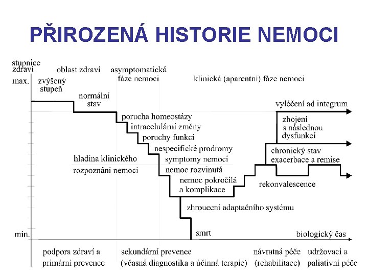 PŘIROZENÁ HISTORIE NEMOCI 