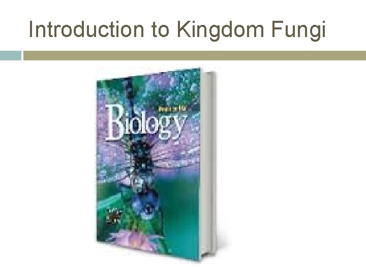 Introduction to Kingdom Fungi 