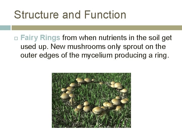 Structure and Function Fairy Rings from when nutrients in the soil get used up.