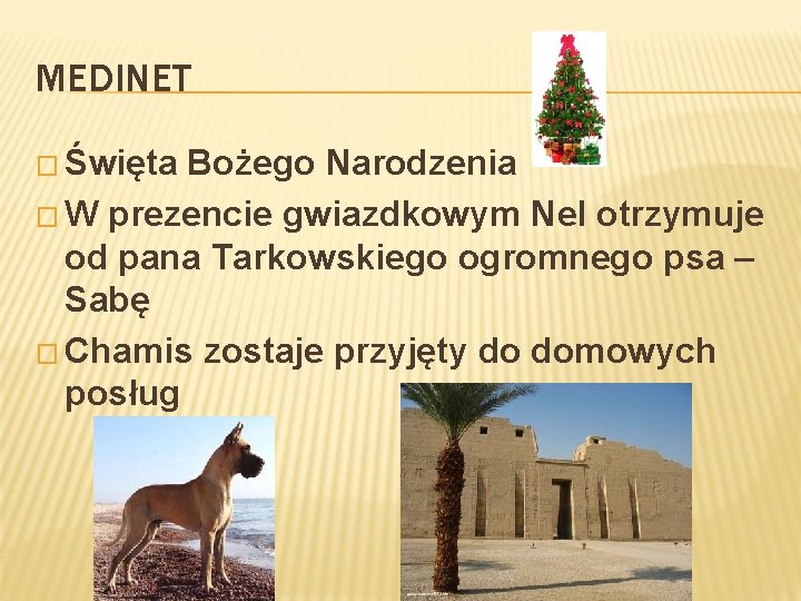 MEDINET � Święta Bożego Narodzenia � W prezencie gwiazdkowym Nel otrzymuje od pana Tarkowskiego MEDINET � Święta Bożego Narodzenia � W prezencie gwiazdkowym Nel otrzymuje od pana Tarkowskiego